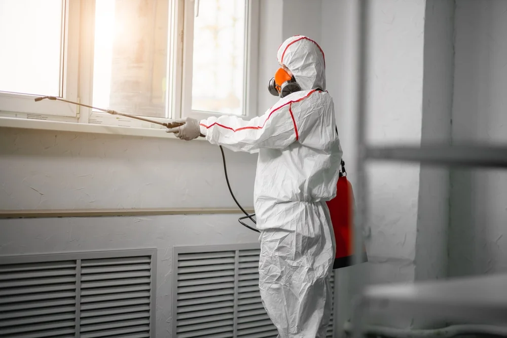 Professional mold remediation services in Northwood, OH